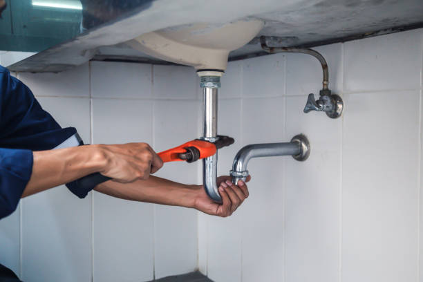 Best Leak Detection Services  in Staples, MN
